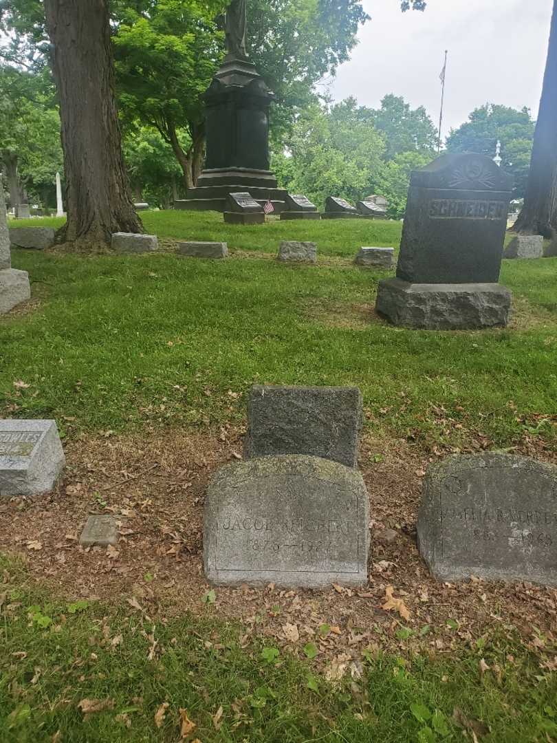 Jacob Reichert's grave. Photo 1