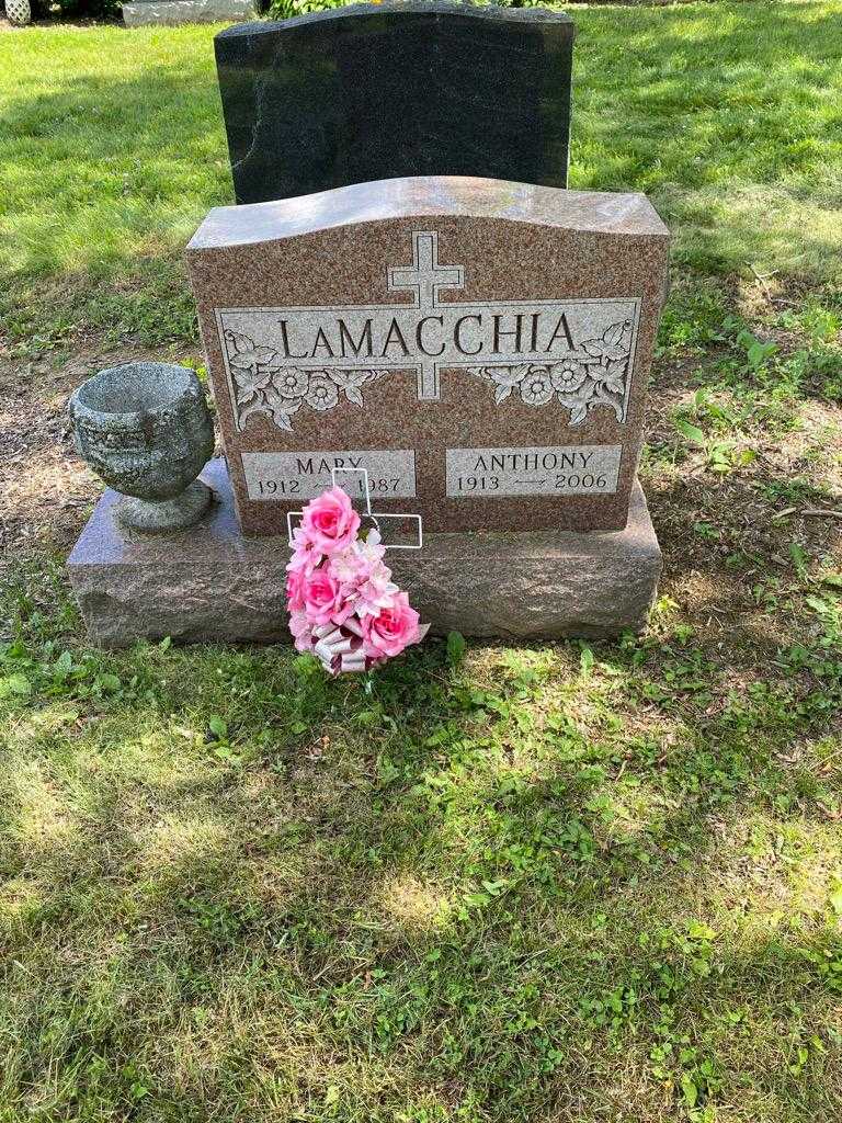 Anthony Lamacchia's grave. Photo 2