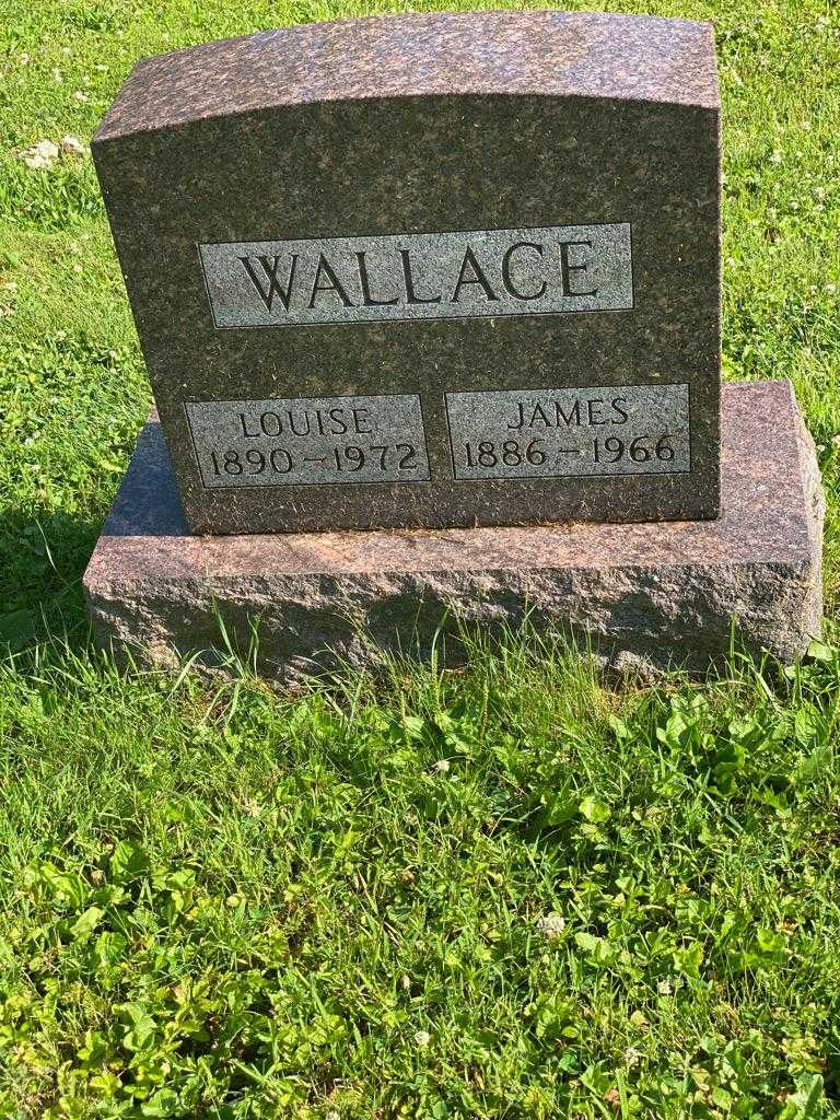 Louise Wallace's grave. Photo 3