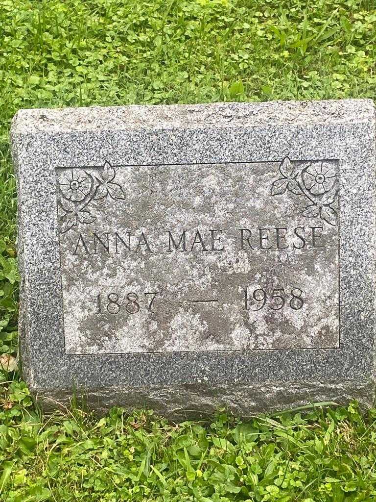 Anna Mae Reese's grave. Photo 3