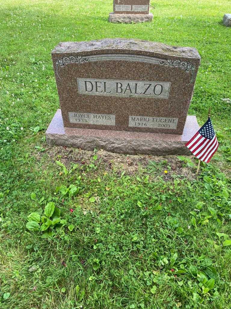 Mario Eugene Del Balzo's grave. Photo 2