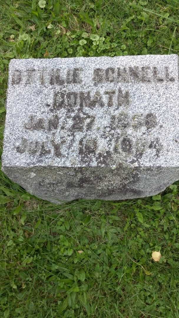 Ottilie Schnell Donath's grave. Photo 3
