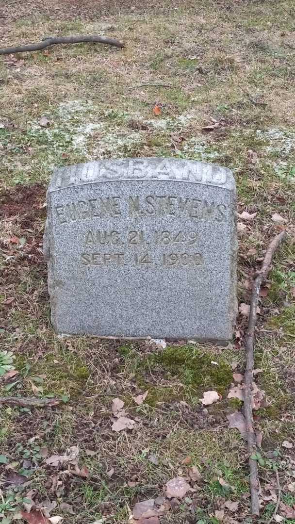Eugene N. Stevens's grave. Photo 4