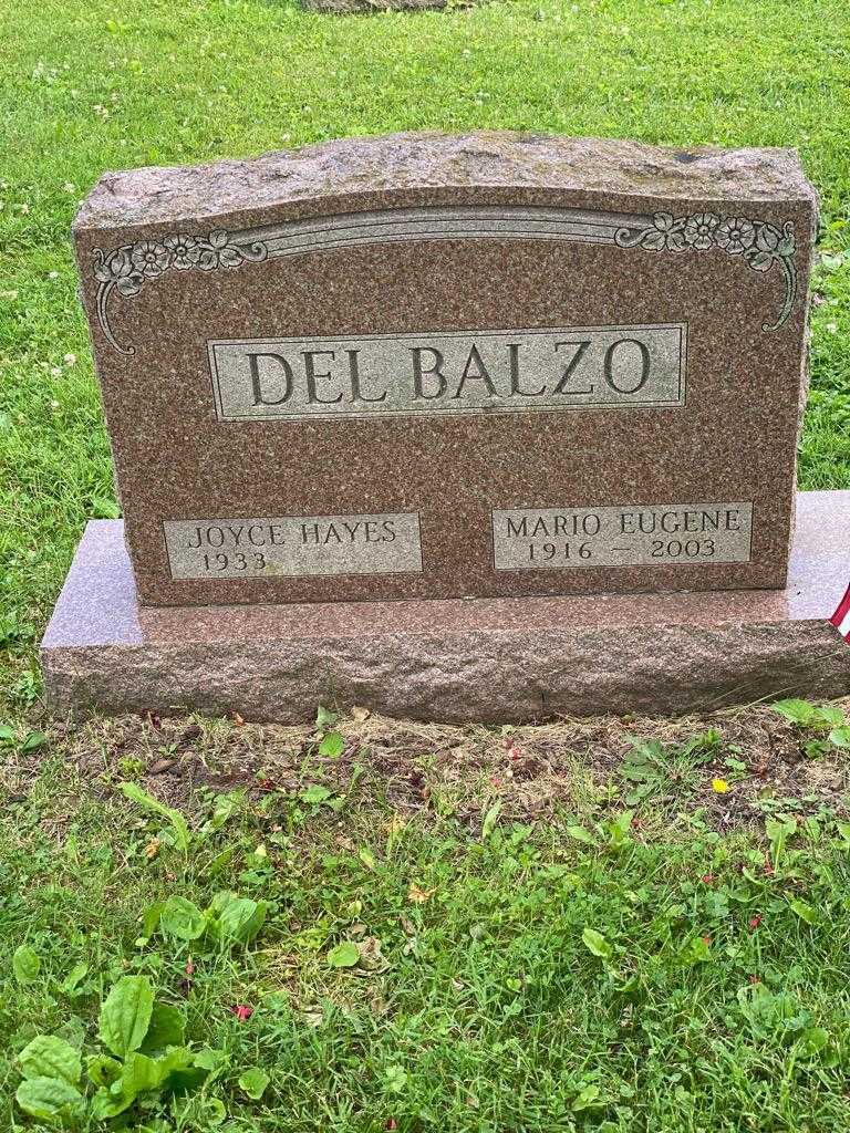 Mario Eugene Del Balzo's grave. Photo 3