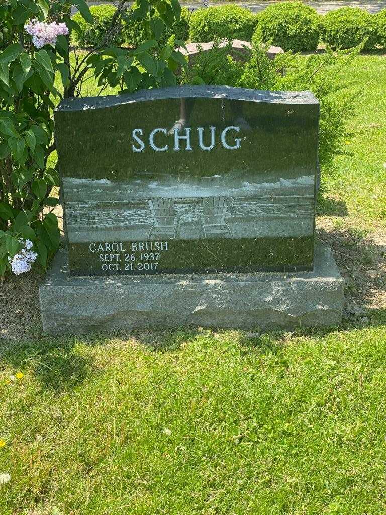 Carol Brush Schug's grave. Photo 1