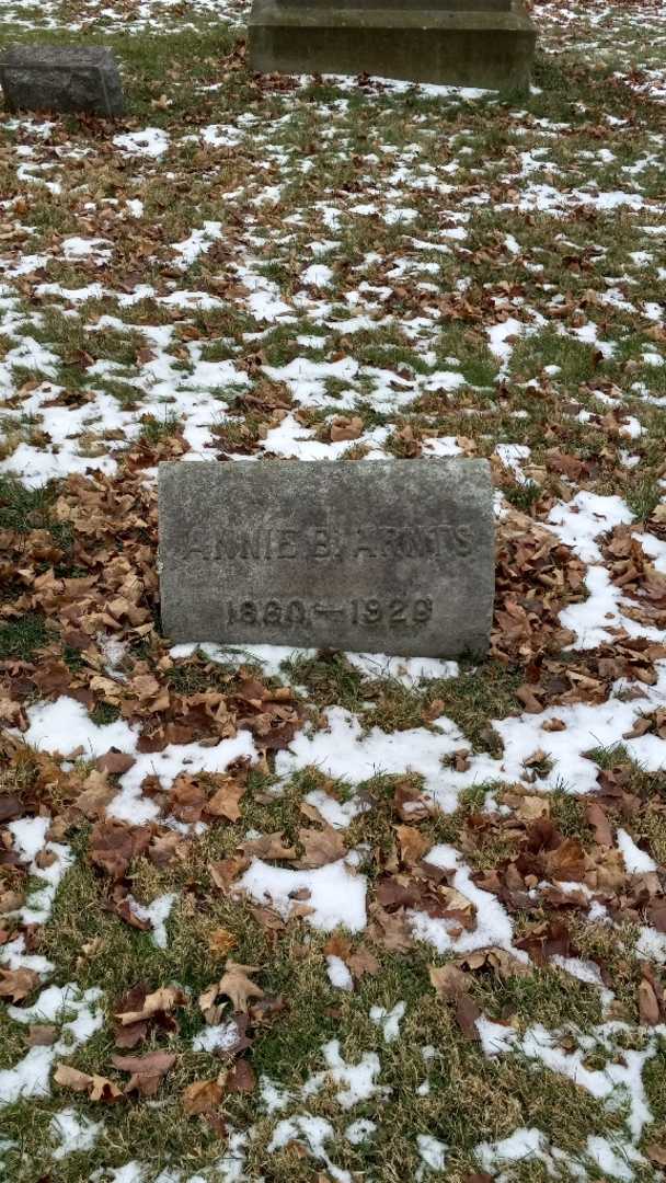 Annie B. Arnts's grave. Photo 2