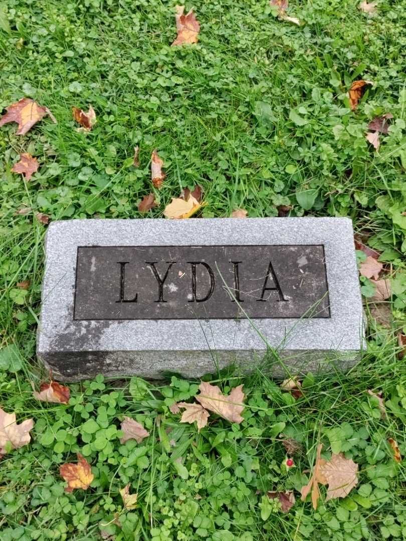 Lydia A. Johnson's grave. Photo 4