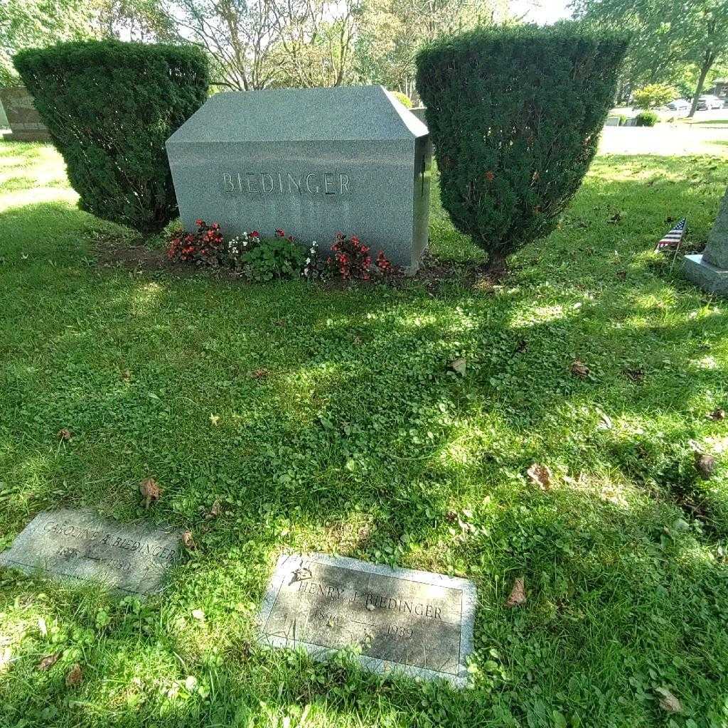 Henry J. Biedinger's grave. Photo 2