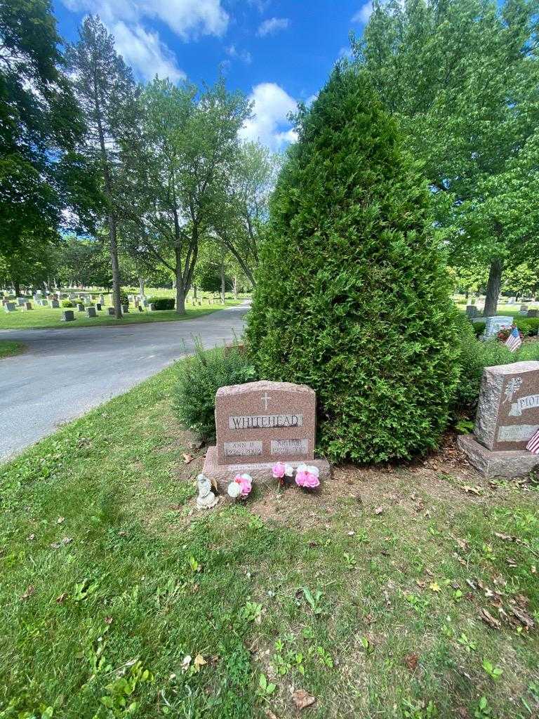 Arthur Whitehead's grave. Photo 1