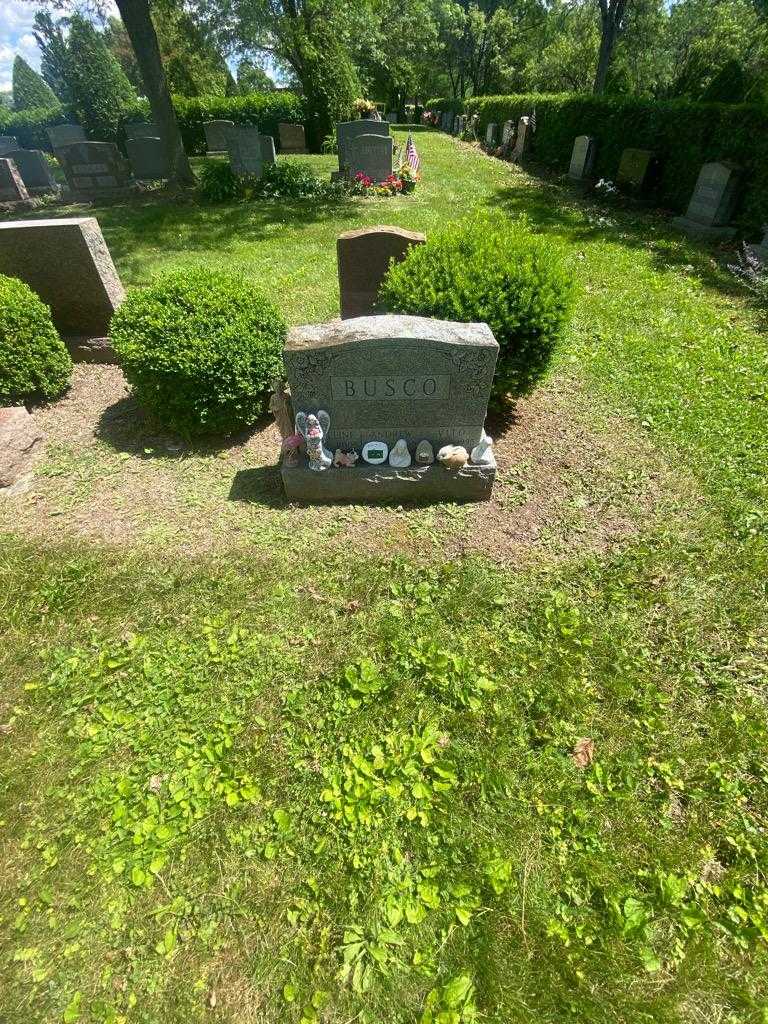 Andrew Busco's grave. Photo 1