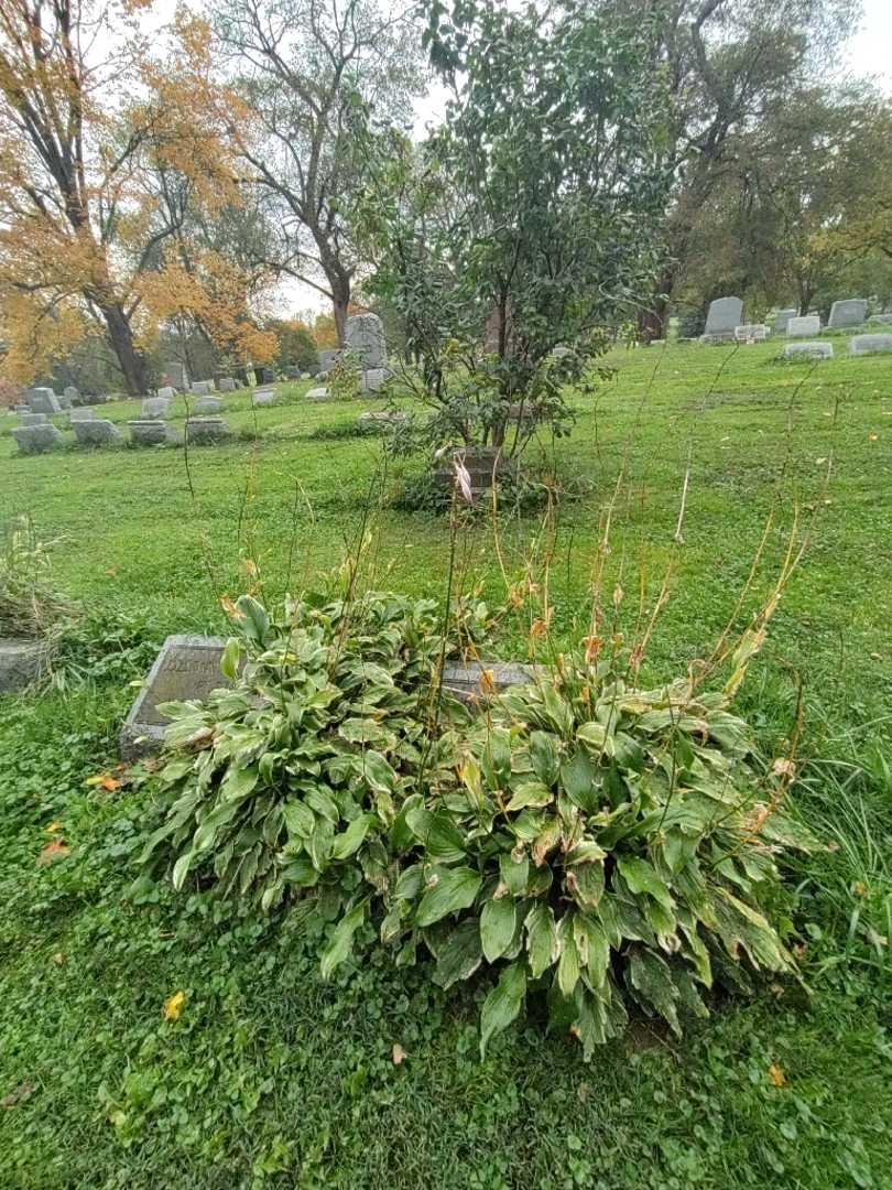 Wardner H. Rathbun's grave. Photo 1