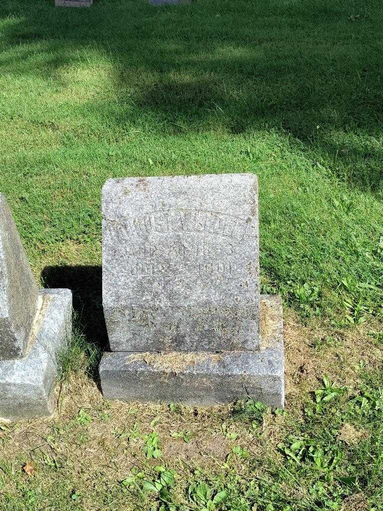 August Weldle's grave. Photo 2