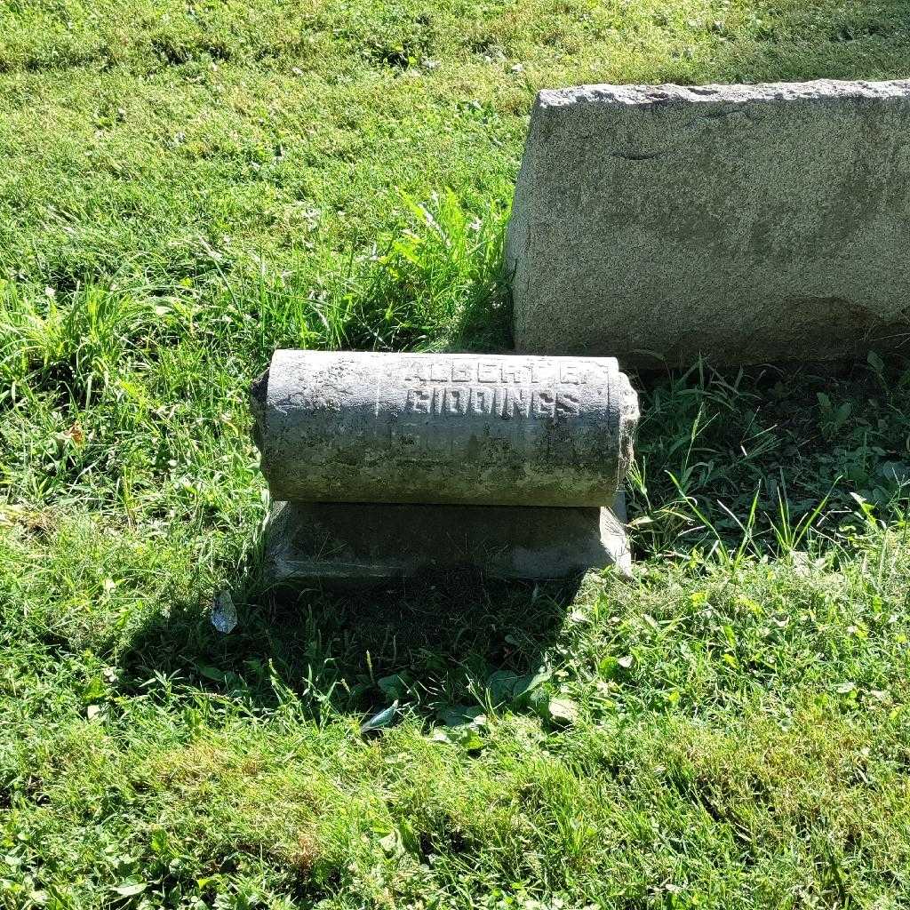 Albert E. Giddings's grave. Photo 2