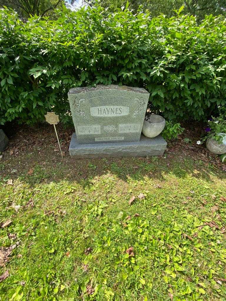 John C. Haynes's grave. Photo 1