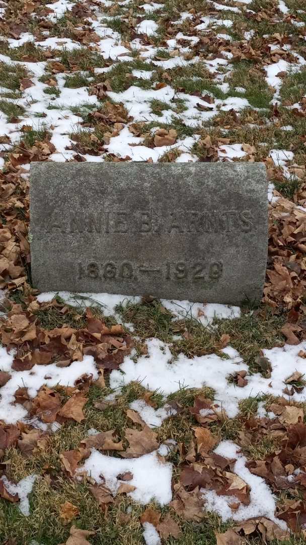 Annie B. Arnts's grave. Photo 3