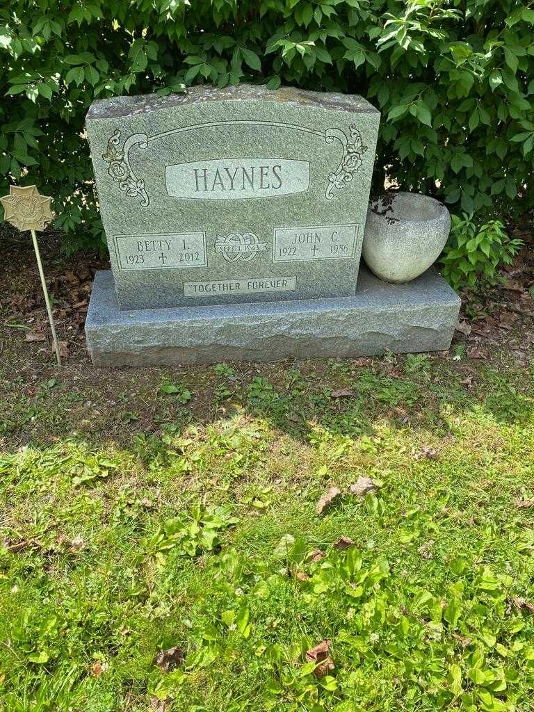 John C. Haynes's grave. Photo 2