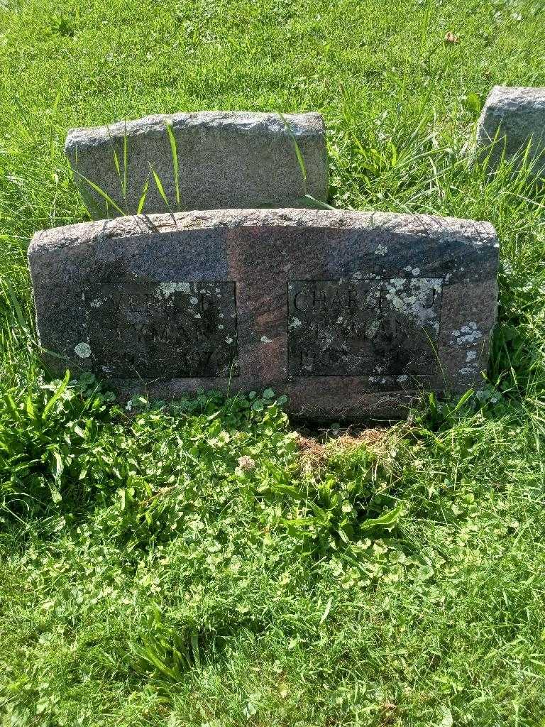 Charles J. Lyman's grave. Photo 2