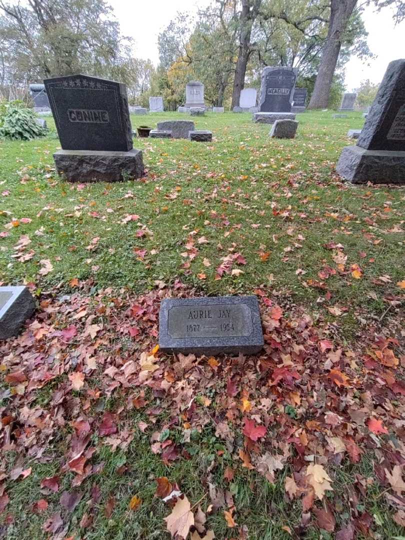 Aurie Jay Conine's grave. Photo 2