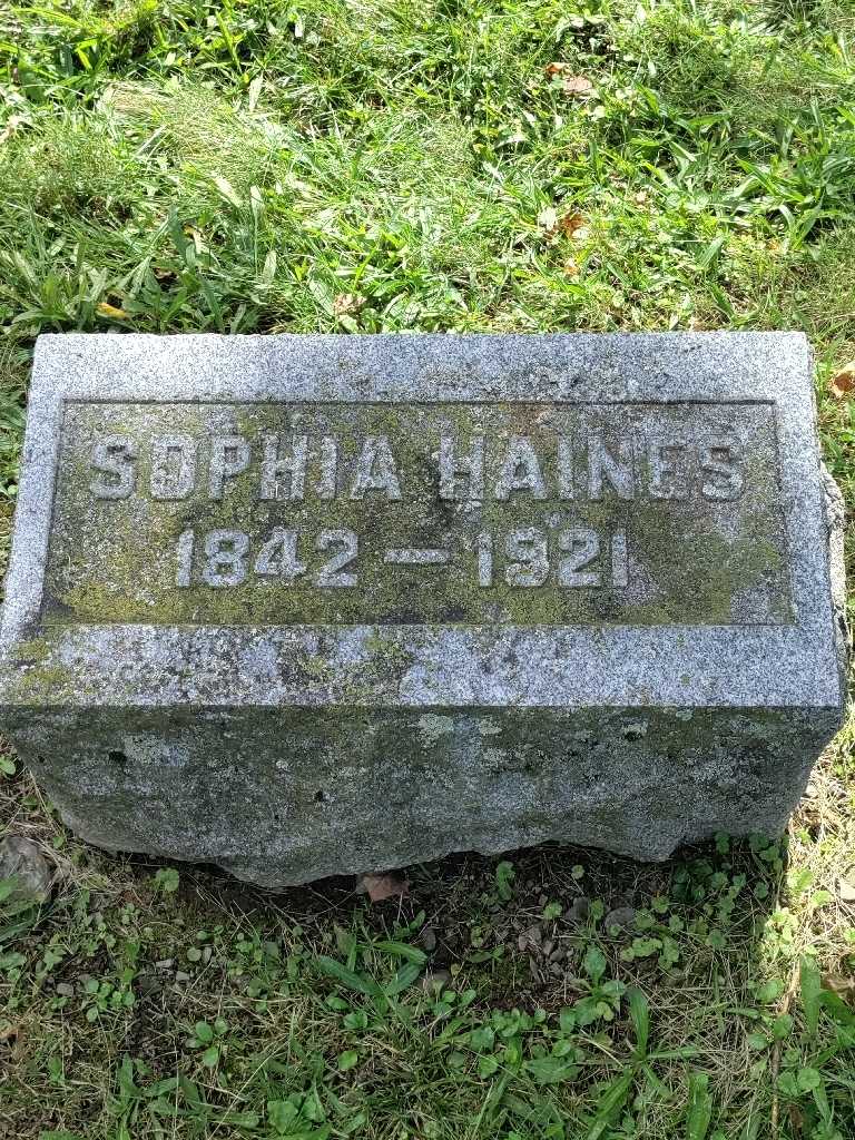 Sophia K. Haines's grave. Photo 4