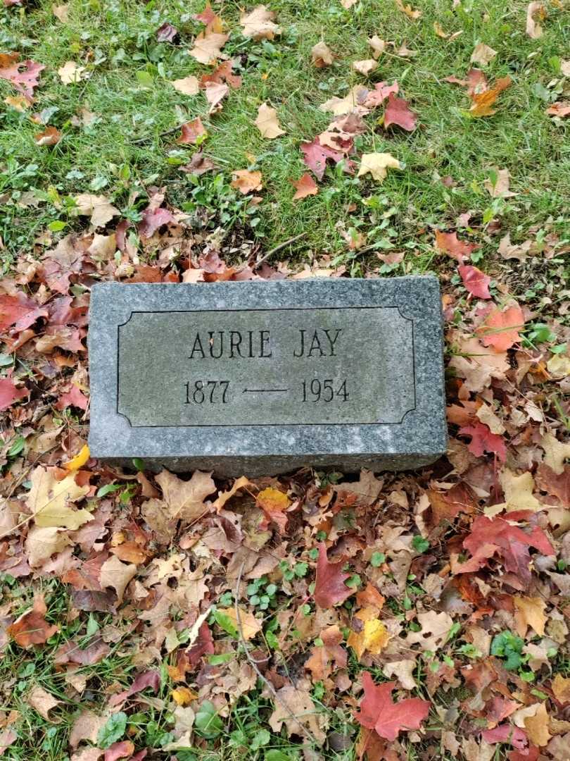 Aurie Jay Conine's grave. Photo 3
