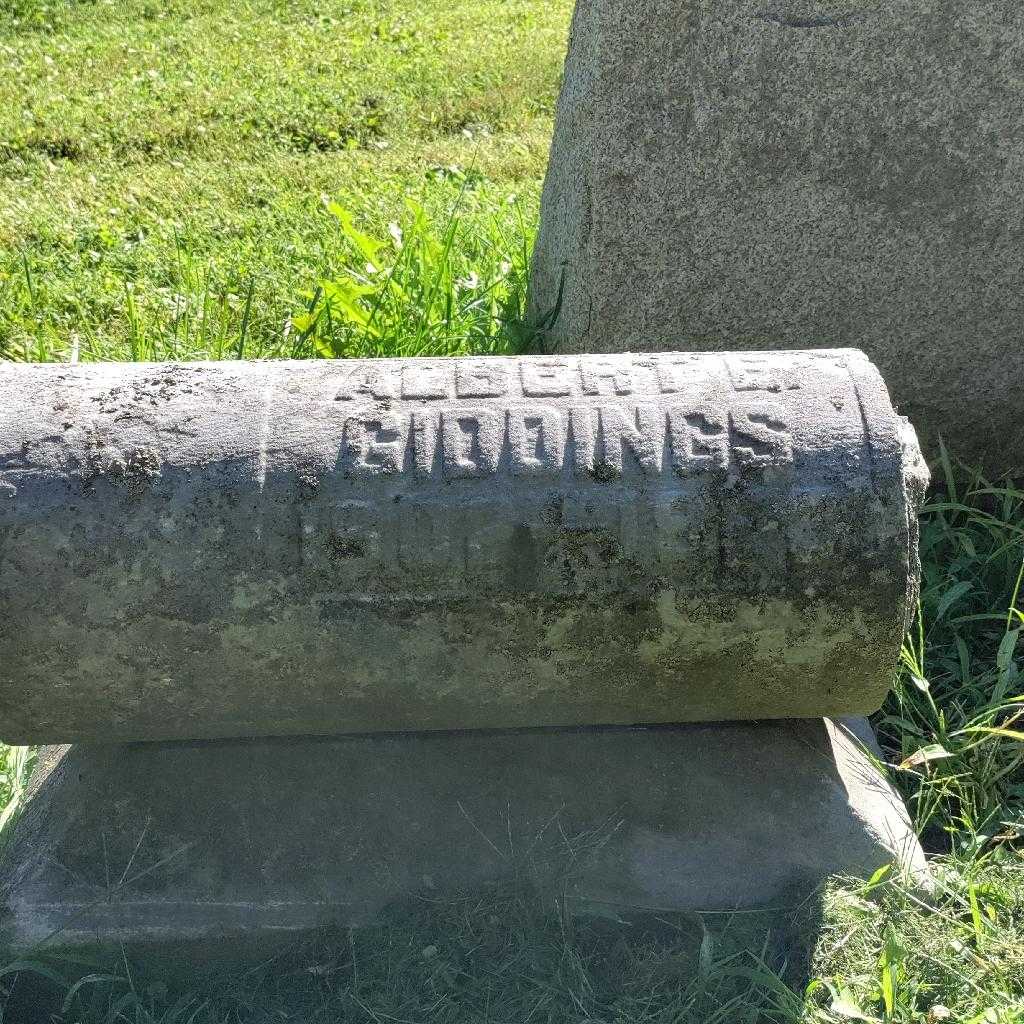 Albert E. Giddings's grave. Photo 3