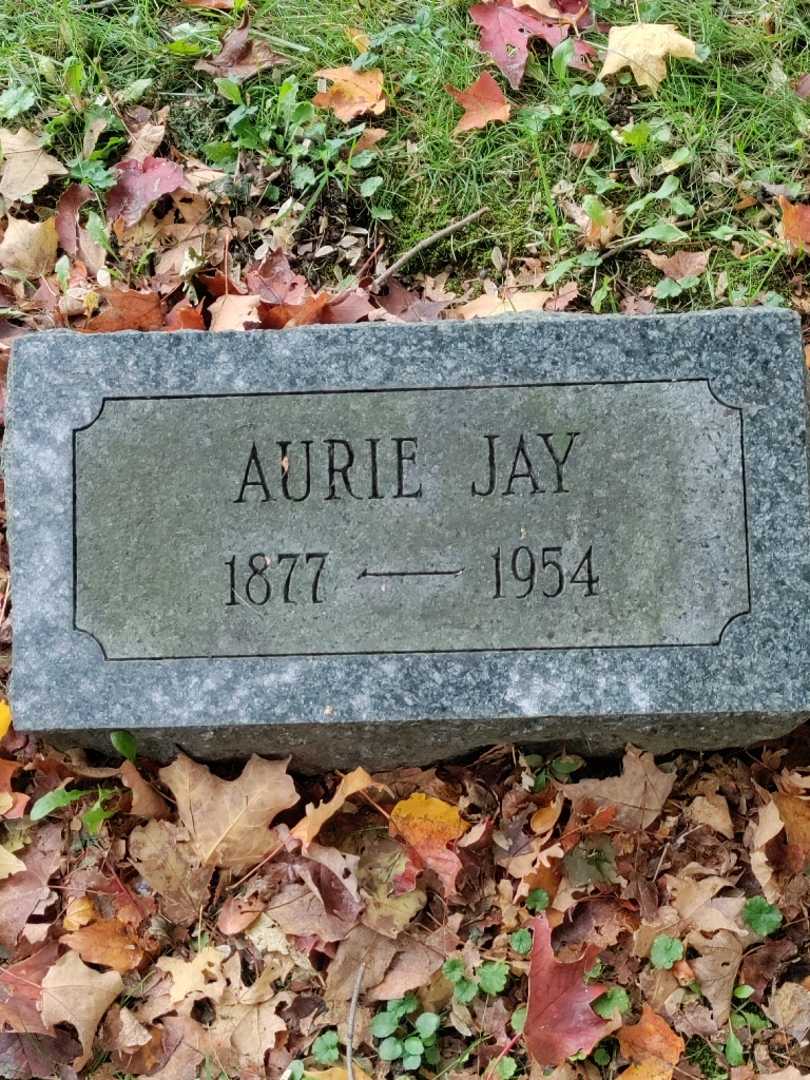 Aurie Jay Conine's grave. Photo 4