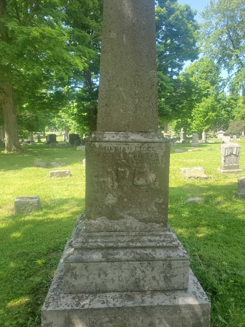 William Ribel's grave. Photo 3