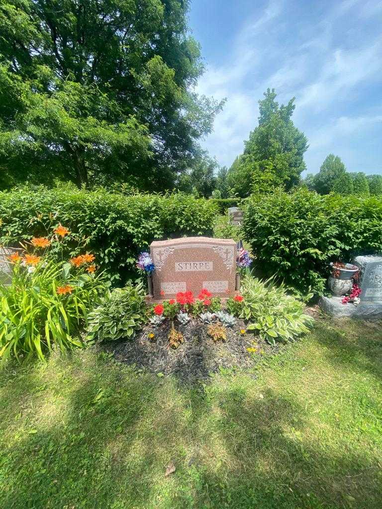 Jean E. Stirpe's grave. Photo 1