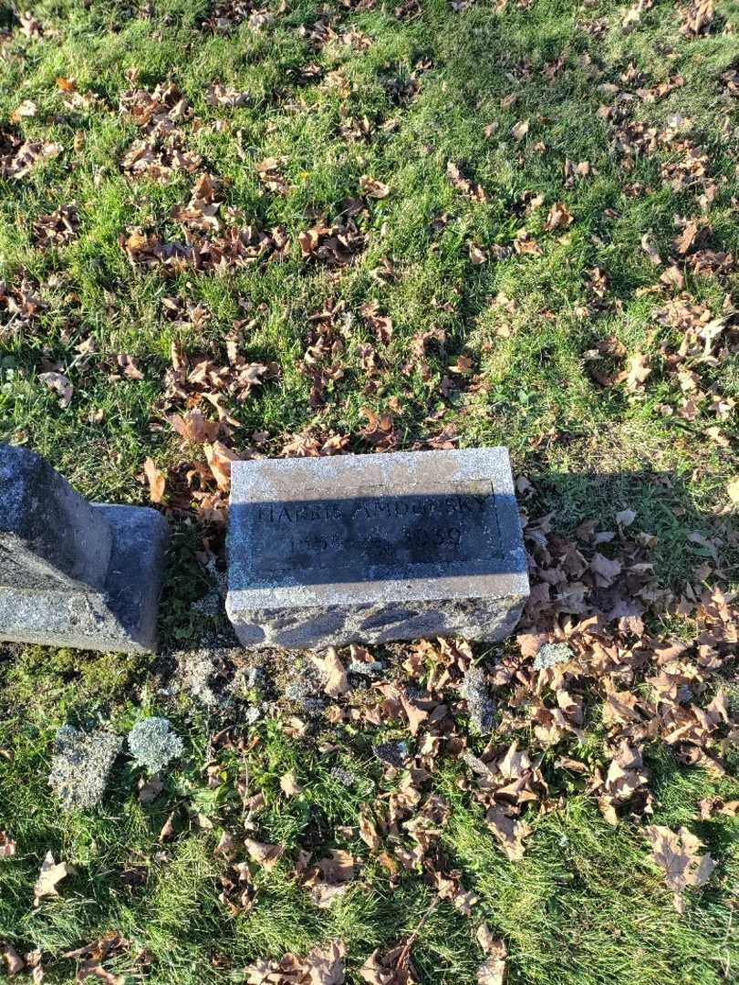 Harris Amdursky's grave. Photo 2