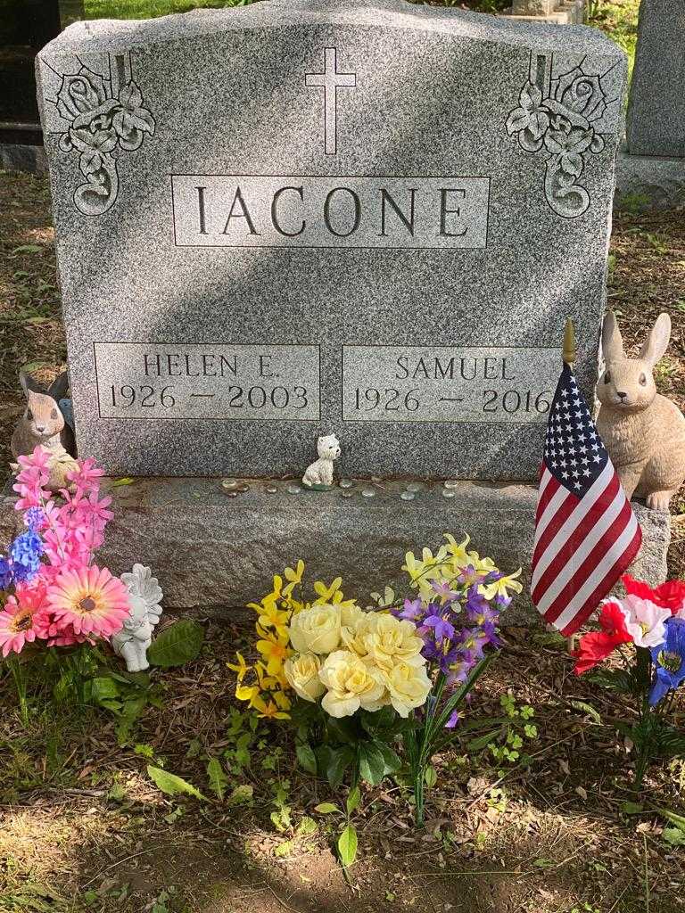 Samuel Iacone's grave. Photo 3