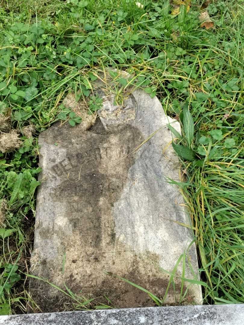 Adelbert M. Geer's grave. Photo 3