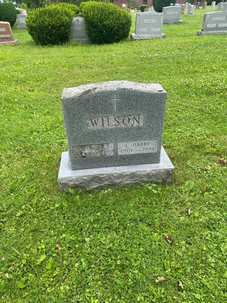 C. Harry Wilson's grave. Photo 2