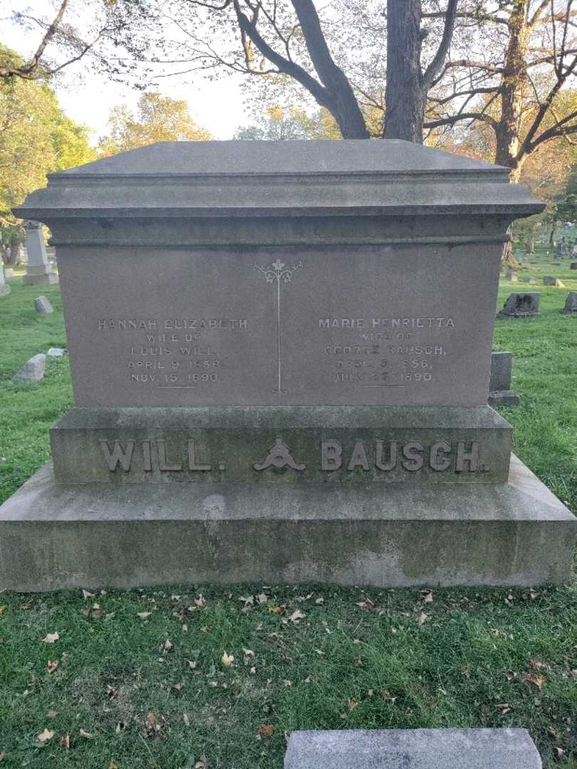 Hannah Elizabeth Will's grave. Photo 3