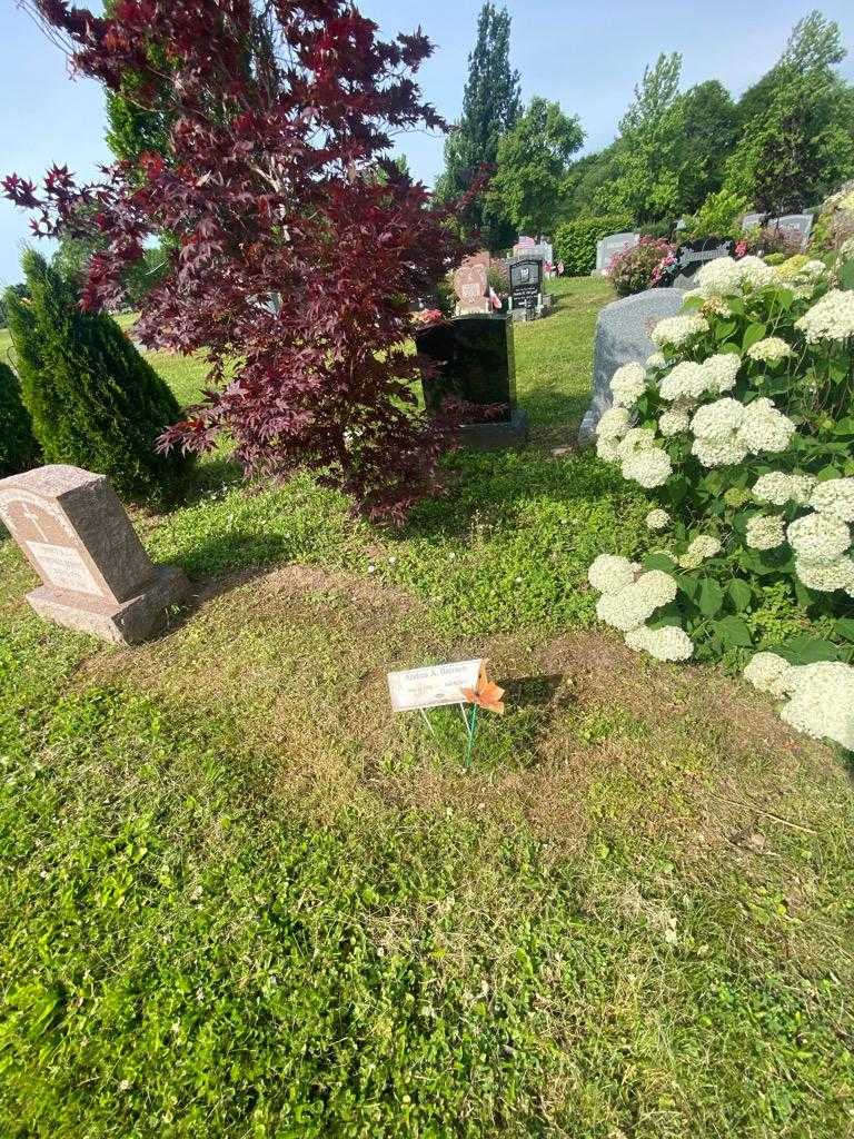 Andrea A. Barraco's grave. Photo 1