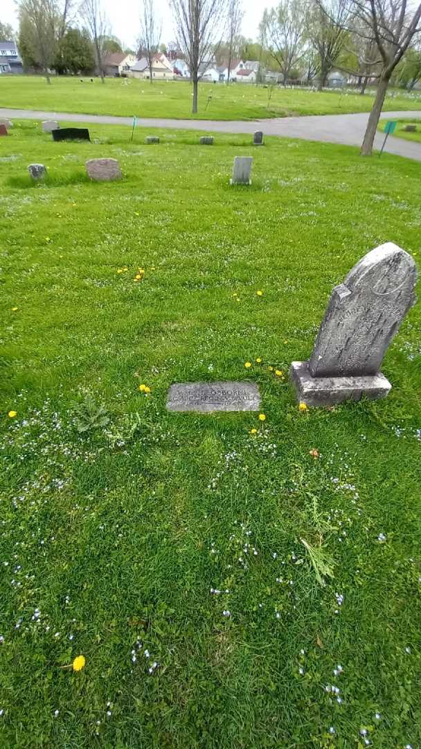 William H. "Wm" Osborne's grave. Photo 1