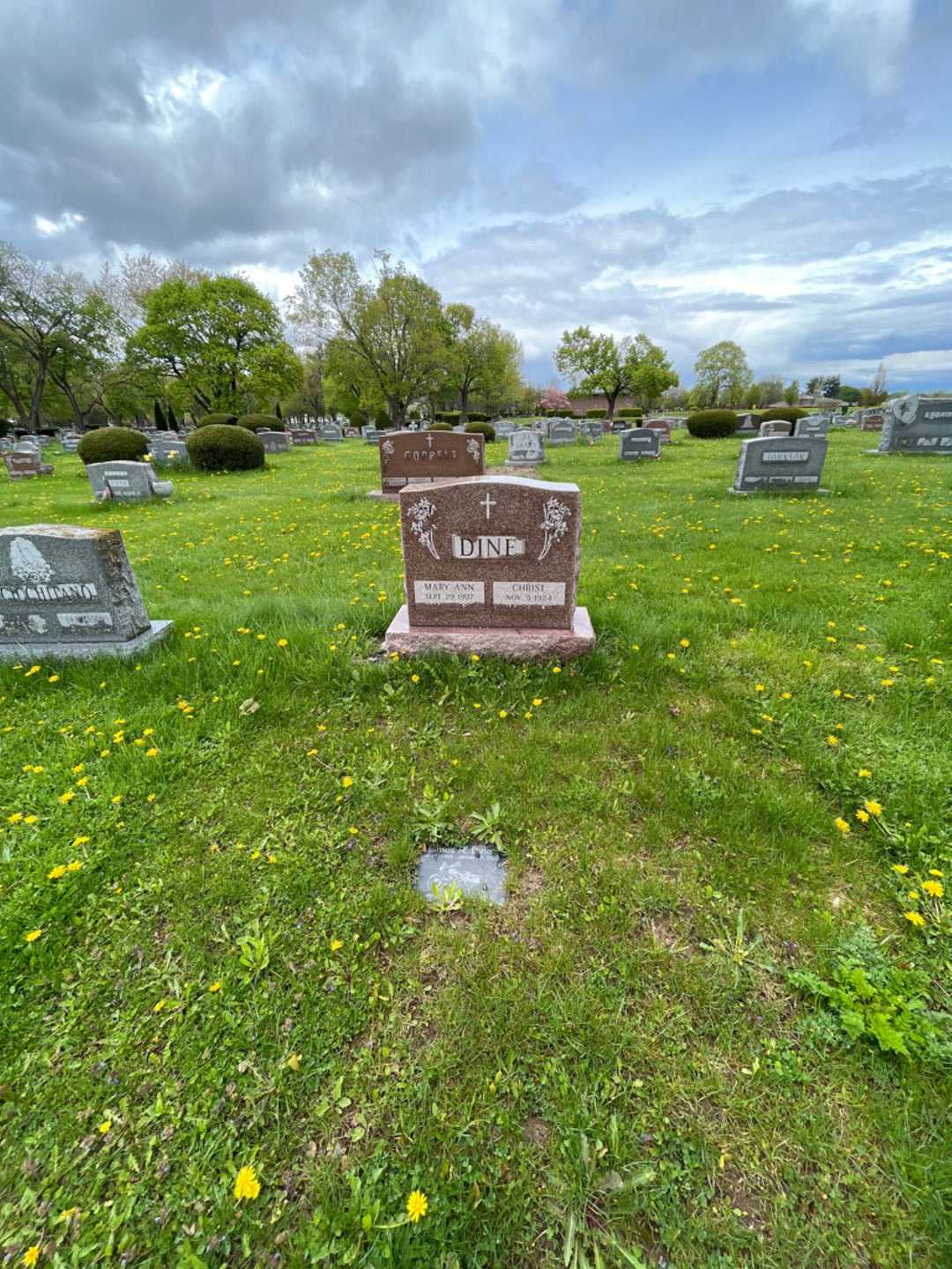 James Robert Dine's grave. Photo 2