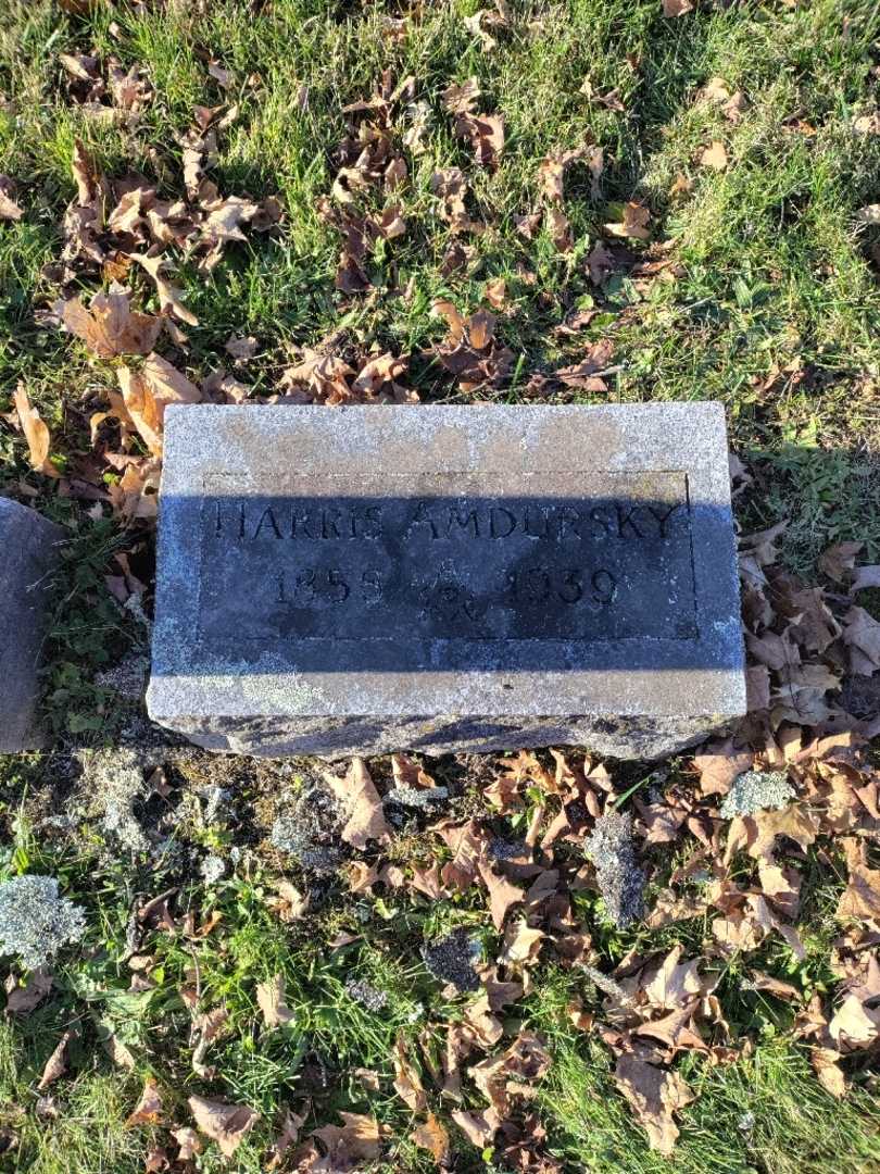 Harris Amdursky's grave. Photo 3