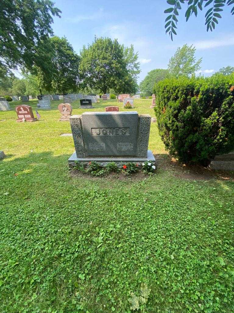 William T. Jones's grave. Photo 2