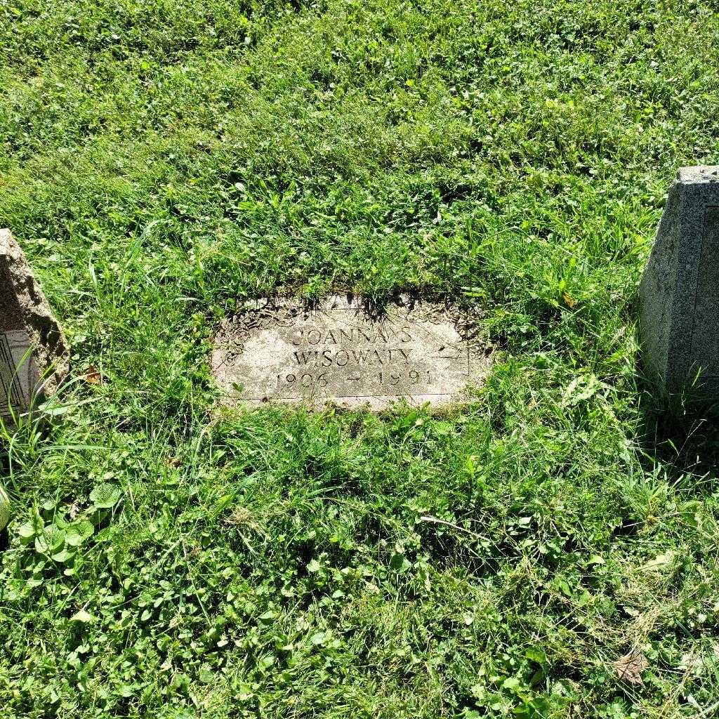 Joanna S. Wisowaty's grave. Photo 1