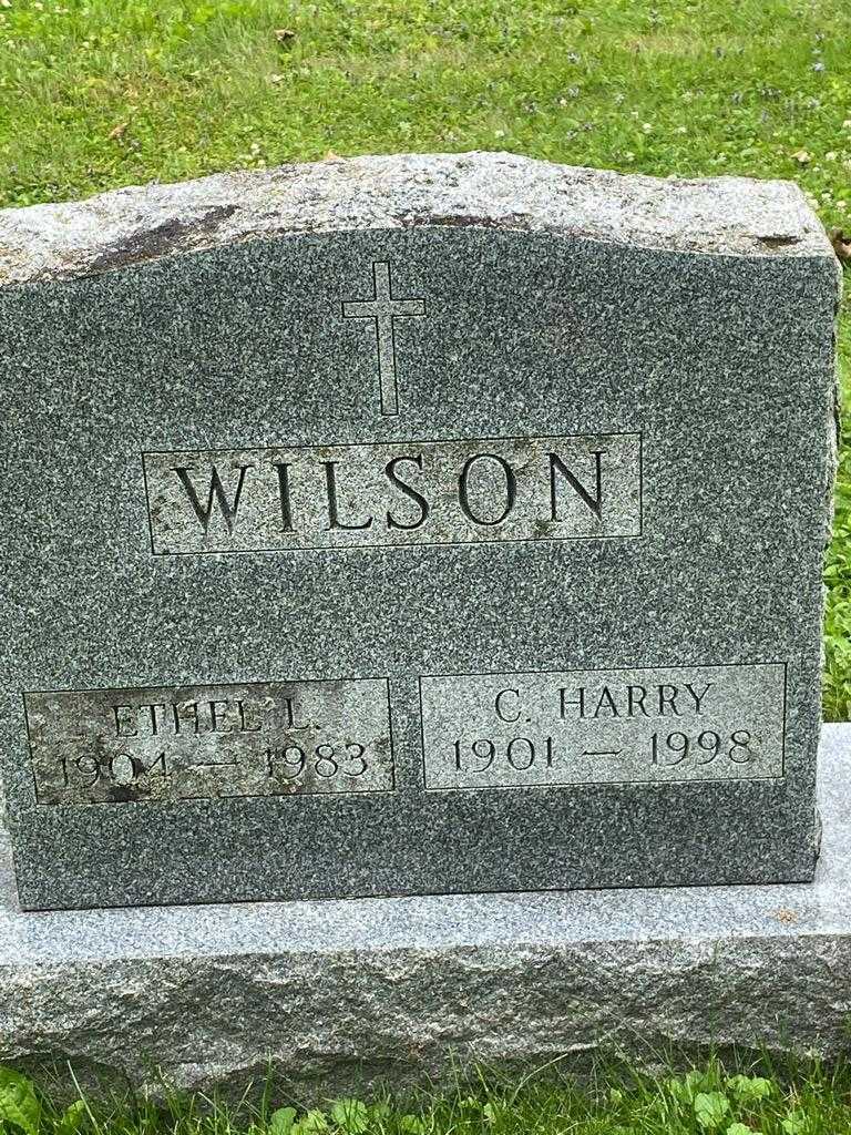 C. Harry Wilson's grave. Photo 3