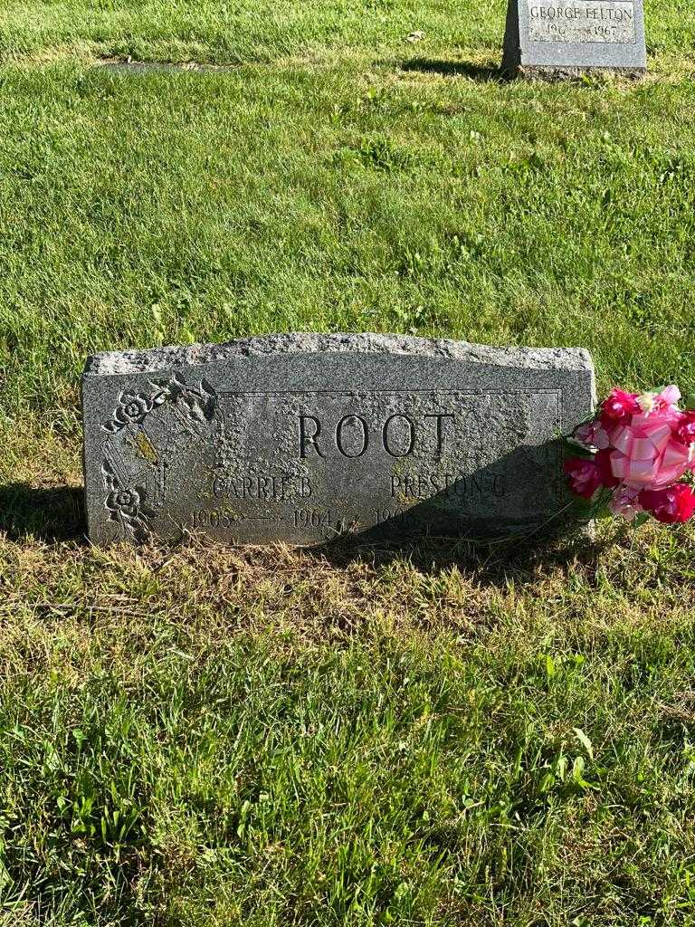 Preston G. Root's grave. Photo 3
