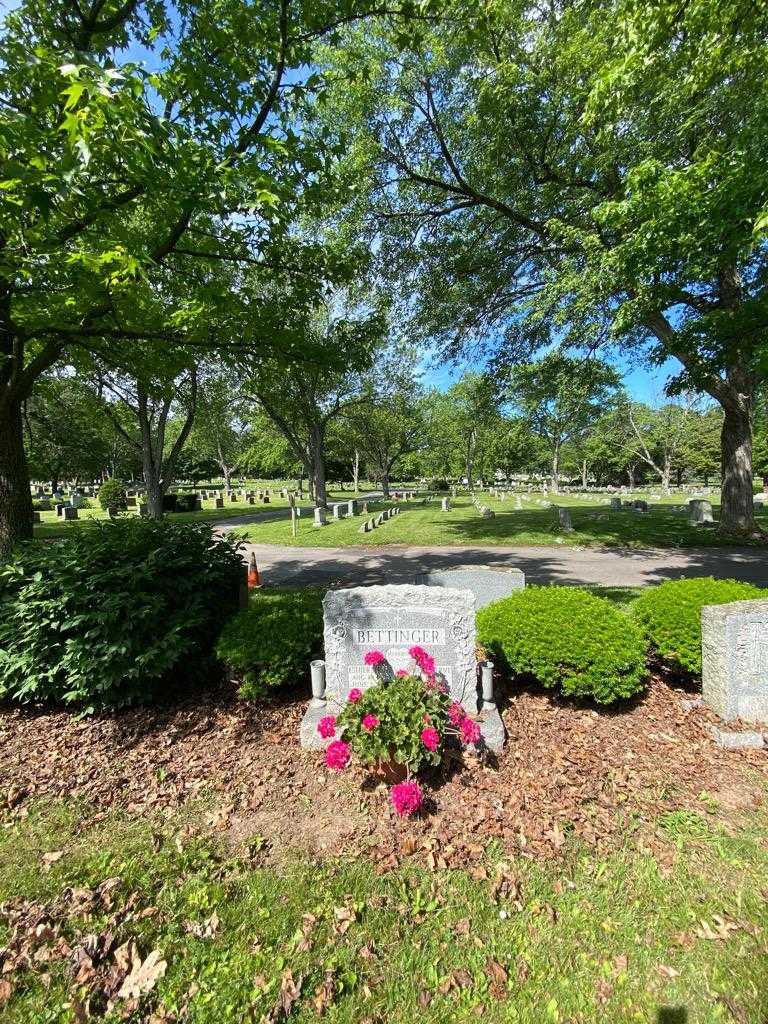 Robert Verne Bettinger's grave. Photo 1