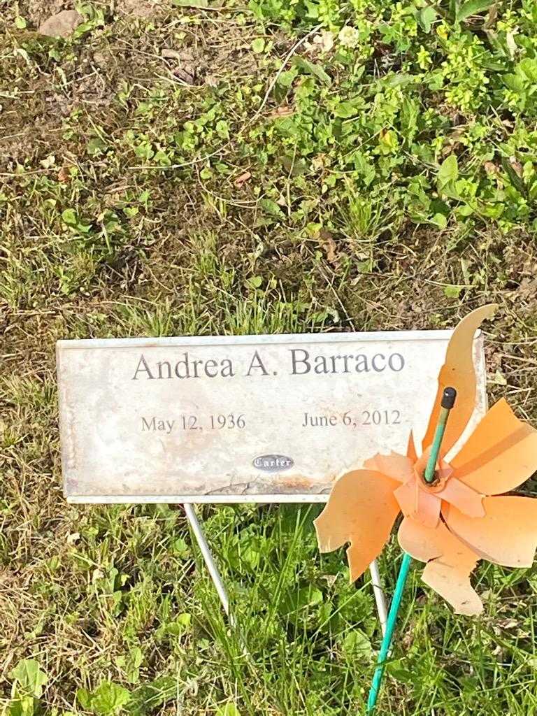 Andrea A. Barraco's grave. Photo 3