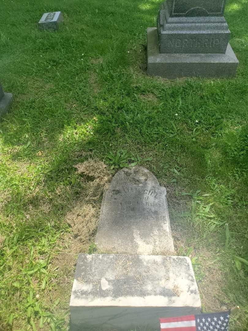 William Gill's grave. Photo 4