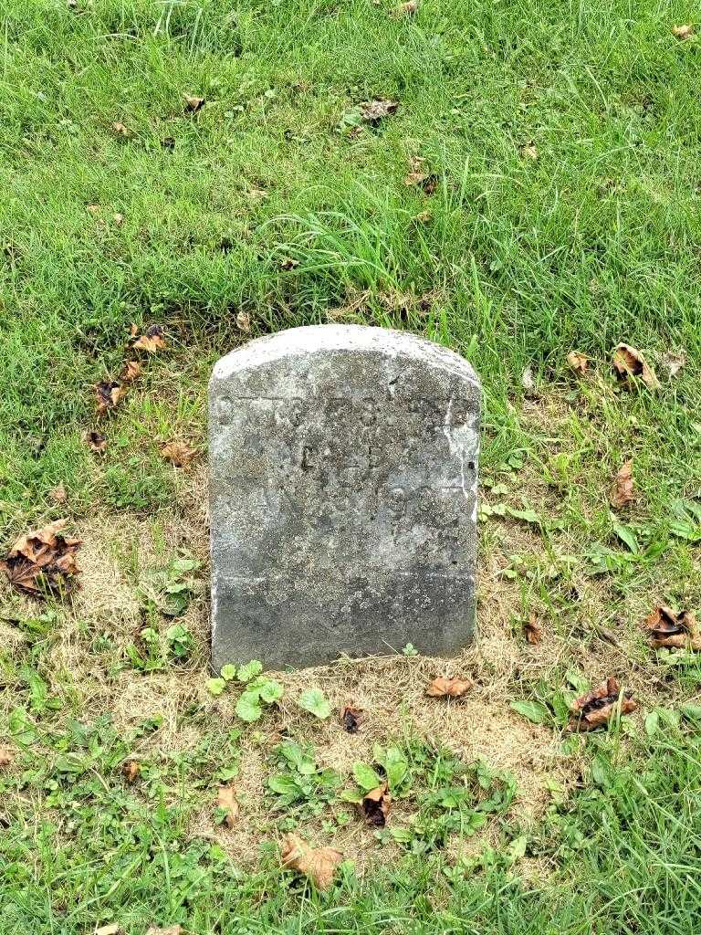 Otto Fischer's grave. Photo 2