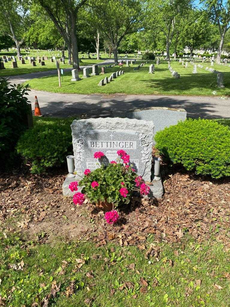 Robert Verne Bettinger's grave. Photo 2