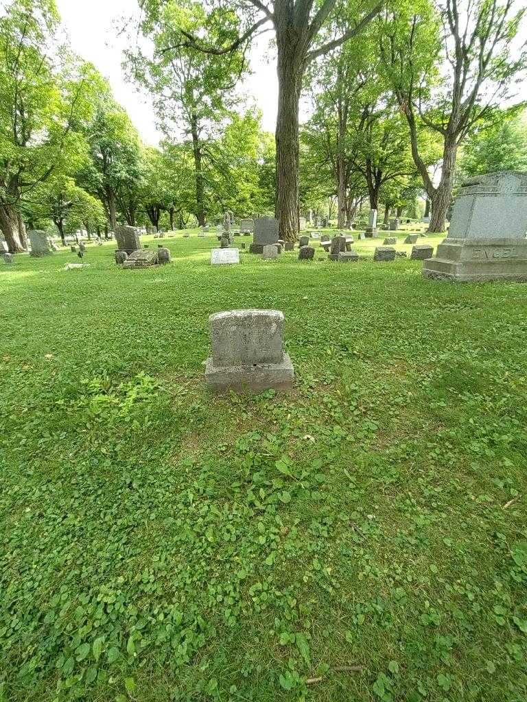 Lena M. Behnke Shanklin's grave. Photo 1