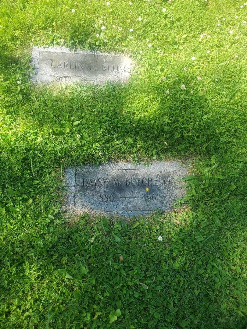 Daisy M. Buecheler's grave. Photo 3