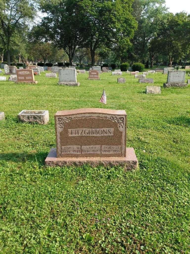 Sadie Fitzgibbons's grave. Photo 1