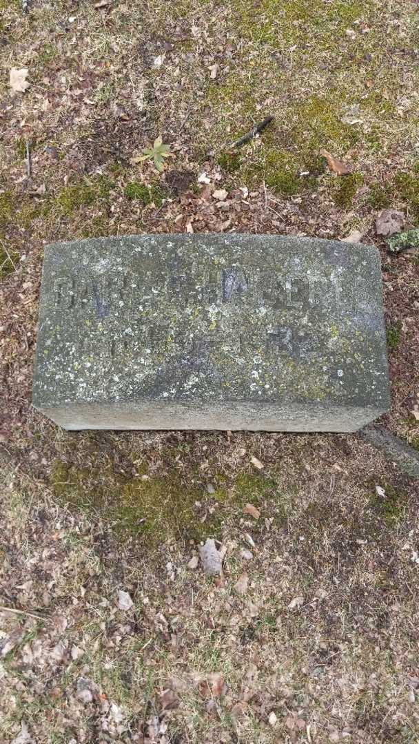 Carl E. Haberle's grave. Photo 2